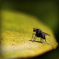 /album/wlctcm/photolia-a07-jpg/